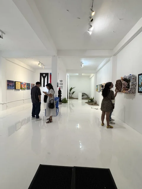 Registro fotográfico del Instituto de Subcultura, imagen 24